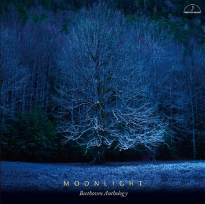 月光 〜贝多芬作品选〜 (Moonlight 〜Beethoven Anthology〜)网赚项目-副业赚钱-互联网创业-资源整合HIRES SHOP