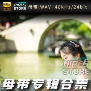 CRITTY （WAV母带专辑合集）网赚项目-副业赚钱-互联网创业-资源整合HIRES SHOP