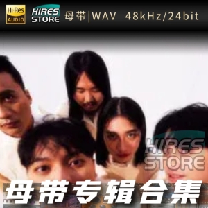 老王乐队 （WAV母带专辑合集）网赚项目-副业赚钱-互联网创业-资源整合HIRES SHOP