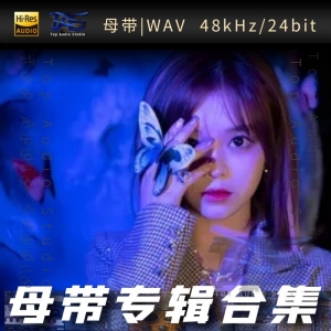 黄霄雲（WAV母带专辑合集）网赚项目-副业赚钱-互联网创业-资源整合HIRES SHOP