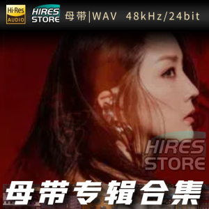 何洁（WAV母带专辑合集）网赚项目-副业赚钱-互联网创业-资源整合HIRES SHOP