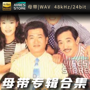 音乐磁场（WAV母带专辑合集）网赚项目-副业赚钱-互联网创业-资源整合HIRES SHOP