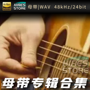 子辉吉他（WAV母带专辑合集）网赚项目-副业赚钱-互联网创业-资源整合HIRES SHOP