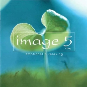 lmage 5 emotional &relaxing网赚项目-副业赚钱-互联网创业-资源整合HIRES SHOP
