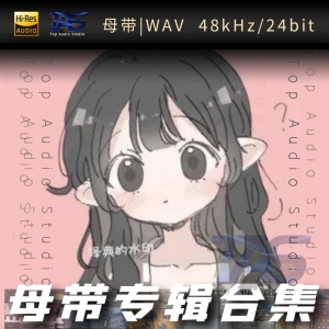泽典（WAV母带专辑合集）网赚项目-副业赚钱-互联网创业-资源整合HIRES SHOP