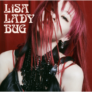 LADYBUG网赚项目-副业赚钱-互联网创业-资源整合HIRES SHOP