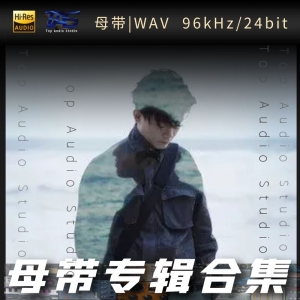 队长（杨浪）（WAV母带专辑合集）网赚项目-副业赚钱-互联网创业-资源整合HIRES SHOP