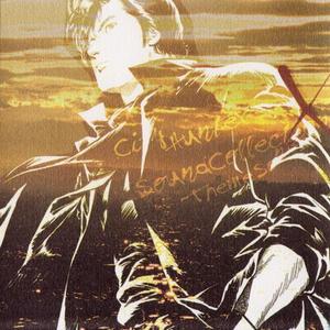 City Hunter Sound Collection X -Theme Songs- (动画《城市猎人》系列主题曲集)disc1网赚项目-副业赚钱-互联网创业-资源整合HIRES SHOP