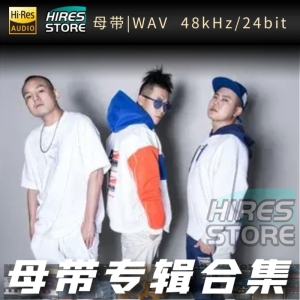 玖壹壹（WAV母带专辑合集）网赚项目-副业赚钱-互联网创业-资源整合HIRES SHOP