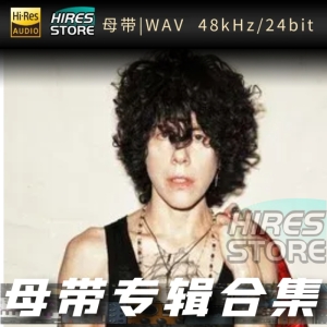 LP（WAV母带专辑合集）网赚项目-副业赚钱-互联网创业-资源整合HIRES SHOP