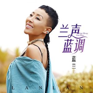 兰声蓝调网赚项目-副业赚钱-互联网创业-资源整合HIRES SHOP