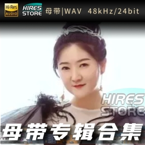 赵洋（WAV母带专辑合集）网赚项目-副业赚钱-互联网创业-资源整合HIRES SHOP