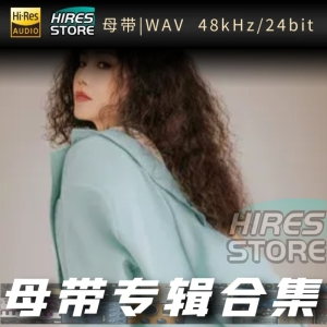 刘振宇Yedda（WAV母带专辑合集）网赚项目-副业赚钱-互联网创业-资源整合HIRES SHOP