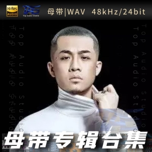 大壮（WAV母带专辑合集）网赚项目-副业赚钱-互联网创业-资源整合HIRES SHOP