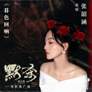暮色回响网赚项目-副业赚钱-互联网创业-资源整合HIRES SHOP