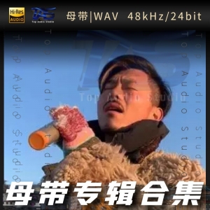 大欢（WAV母带专辑合集）网赚项目-副业赚钱-互联网创业-资源整合HIRES SHOP