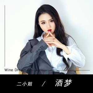 酒梦（丁丁）网赚项目-副业赚钱-互联网创业-资源整合HIRES SHOP