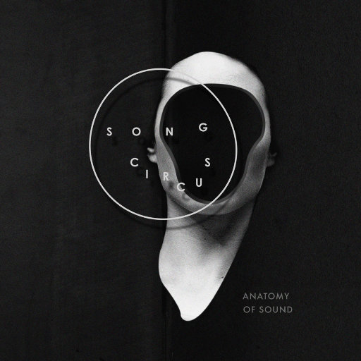 Anatomy of Sound (5.1CH/DSD)网赚项目-副业赚钱-互联网创业-资源整合HIRES SHOP