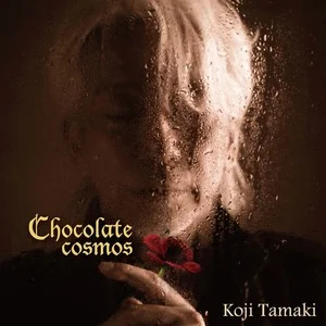 chocolate cosmos网赚项目-副业赚钱-互联网创业-资源整合HIRES SHOP
