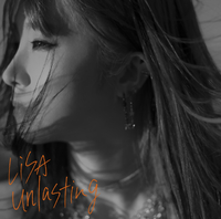 unlasting网赚项目-副业赚钱-互联网创业-资源整合HIRES SHOP