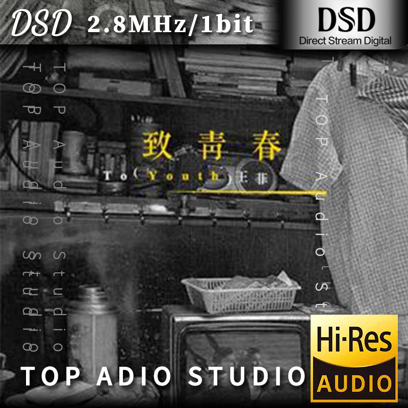 【王菲】致青春网赚项目-副业赚钱-互联网创业-资源整合HIRES SHOP
