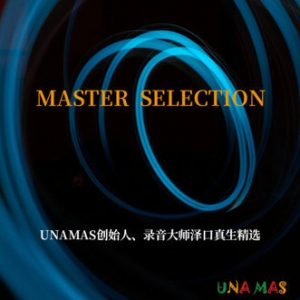 质感音效: 录音大师精选集网赚项目-副业赚钱-互联网创业-资源整合HIRES SHOP