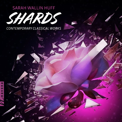 碎片 (Shards): 萨拉·瓦林·赫夫网赚项目-副业赚钱-互联网创业-资源整合HIRES SHOP