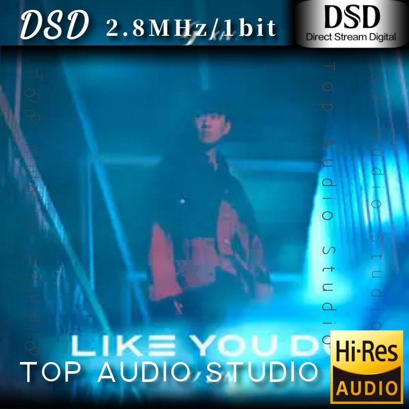 【林俊杰】Like You Do 如你网赚项目-副业赚钱-互联网创业-资源整合HIRES SHOP