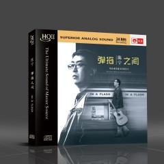 天艺唱片 陈宁 《弹指之间 》母版直刻网赚项目-副业赚钱-互联网创业-资源整合HIRES SHOP