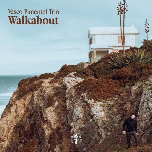Walkabout网赚项目-副业赚钱-互联网创业-资源整合HIRES SHOP