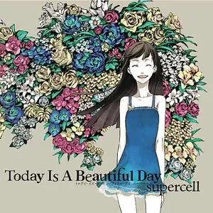 Today Is A Beautiful Day网赚项目-副业赚钱-互联网创业-资源整合HIRES SHOP