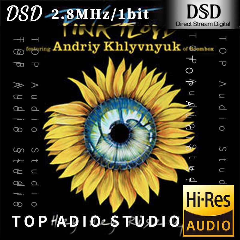 【Pink Floyd】Hey Hey Rise Up (feat. Andriy Khlyvnyuk of Boombox)网赚项目-副业赚钱-互联网创业-资源整合HIRES SHOP