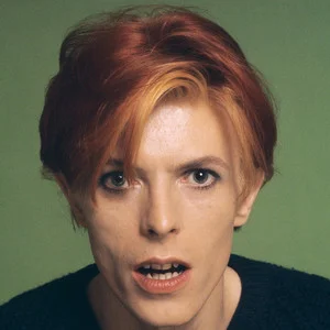 David Bowie（WAV母带专辑合集）网赚项目-副业赚钱-互联网创业-资源整合HIRES SHOP