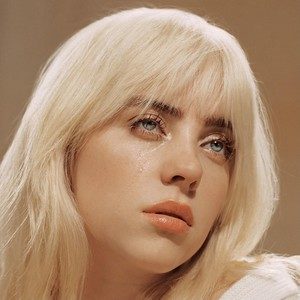 Billie Eilish（WAV母带专辑合集）网赚项目-副业赚钱-互联网创业-资源整合HIRES SHOP