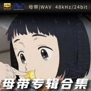 旺仔小乔（WAV母带专辑合集）网赚项目-副业赚钱-互联网创业-资源整合HIRES SHOP