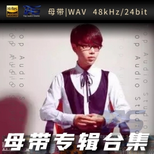 王子月（WAV母带专辑合集）网赚项目-副业赚钱-互联网创业-资源整合HIRES SHOP