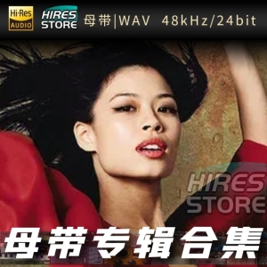 陈美（WAV母带专辑合集）网赚项目-副业赚钱-互联网创业-资源整合HIRES SHOP