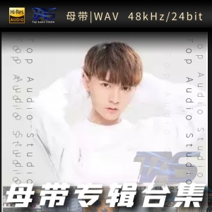 威仔（WAV母带专辑合集）网赚项目-副业赚钱-互联网创业-资源整合HIRES SHOP