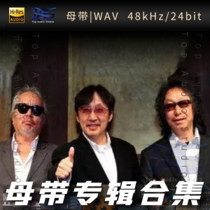 들국화（野菊花）（WAV母带专辑合集）网赚项目-副业赚钱-互联网创业-资源整合HIRES SHOP