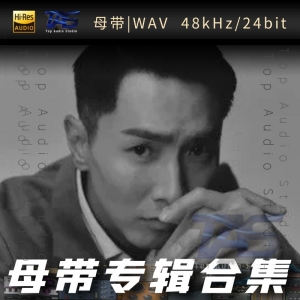 陈柏宇（WAV母带专辑合集）网赚项目-副业赚钱-互联网创业-资源整合HIRES SHOP
