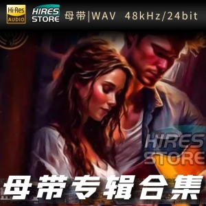 Best Acoustic Voices（WAV母带专辑合集）网赚项目-副业赚钱-互联网创业-资源整合HIRES SHOP