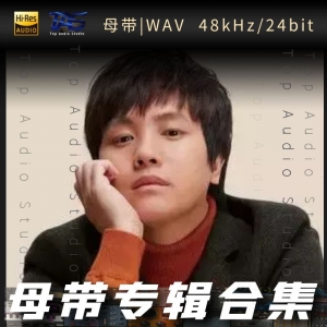 郑源（WAV母带专辑合集）网赚项目-副业赚钱-互联网创业-资源整合HIRES SHOP