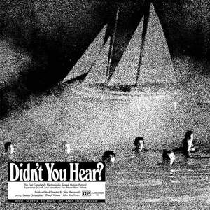 Didn’t You Hear网赚项目-副业赚钱-互联网创业-资源整合HIRES SHOP