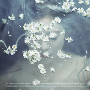 Like A Flower – The 1st Mini Album网赚项目-副业赚钱-互联网创业-资源整合HIRES SHOP