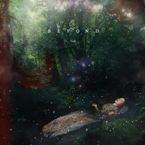 BEYOND网赚项目-副业赚钱-互联网创业-资源整合HIRES SHOP