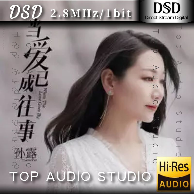 【孙露】当爱已成往事网赚项目-副业赚钱-互联网创业-资源整合HIRES SHOP