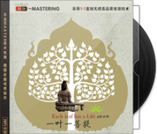 一叶一菩提网赚项目-副业赚钱-互联网创业-资源整合HIRES SHOP