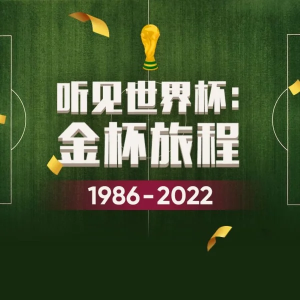 世界杯主题曲(1986-2022)网赚项目-副业赚钱-互联网创业-资源整合HIRES SHOP