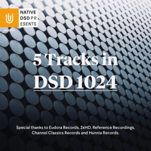 5 Tracks in DSD 1024网赚项目-副业赚钱-互联网创业-资源整合HIRES SHOP