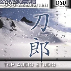 【刀郎】2002年的第一场雪网赚项目-副业赚钱-互联网创业-资源整合HIRES SHOP